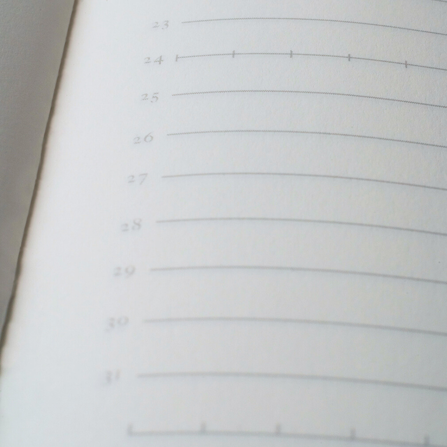 Tomoe River Notebooks A5