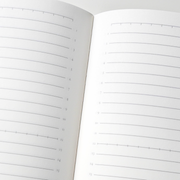 Tomoe River Notebooks A5