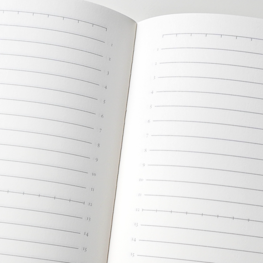 Tomoe River Notebooks A5